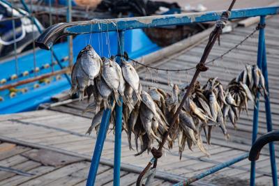 Прикрепленное изображение: HzXu98gEjZs.jpg